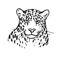 raskraska-leopard-12