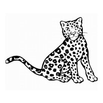 raskraska-leopard-15