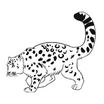 raskraska-leopard-27