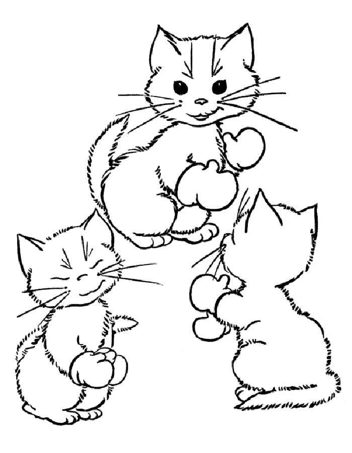 Раскраска Кошки, коты и котята