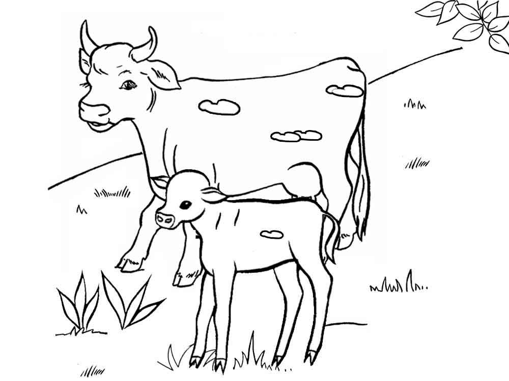 Раскраска для малышей «Домашние животные», 64 картинки