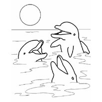 raskraska-delfin-23