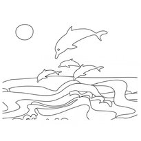 raskraska-delfin-24