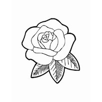 raskraska-roza-cvetok11