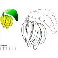 raskraska-banan6