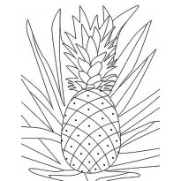 raskraska-ananas29
