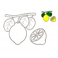 raskraska-limon11