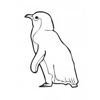 raskraska-pingvin31
