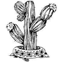 raskraska-kaktus20