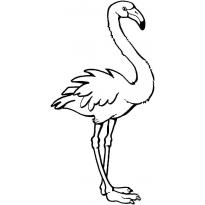 raskraska-flamingo11