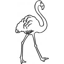 raskraska-flamingo12