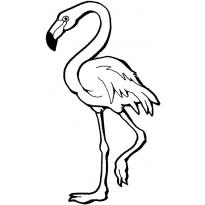 raskraska-flamingo13