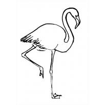 raskraska-flamingo14