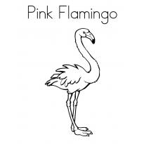raskraska-flamingo26