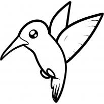 raskraska-kolibri15