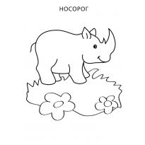 raskraska-nosorog18