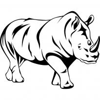 raskraska-nosorog33