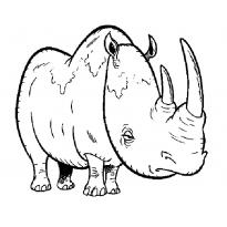 Раскраска носорог raskraska-nosorog5