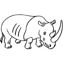 raskraska-nosorog52