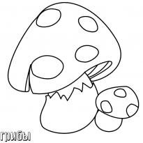 Раскраска мухомор raskraska-muhomor25