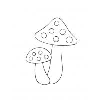 Раскраска мухомор raskraska-muhomor35