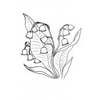 Раскраска ландыш raskraska-landish22