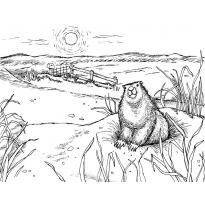 Раскраска крот raskraska-krot46