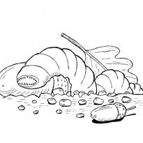 Раскраска червяк raskraska-chervyak38