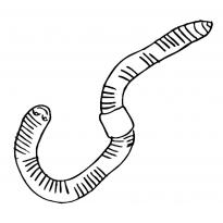 Раскраска червяк raskraska-chervyak9