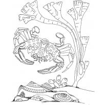 Раскраска морское дно raskraska-morskoe-dno20