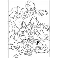 Раскраска Утиные истории raskraska-utinie-istorii22