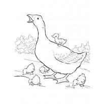 Раскраска мама raskraska-mama32