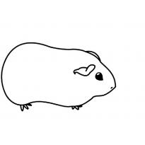 Раскраска морская свинка raskraska-morskaya-svinka12