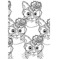 Раскраска Кот ученый raskraska-kot-uchenii15