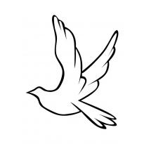 Раскраска голубь мира raskraska-golub-mira53