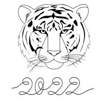 raskraska-tiger-2022-13