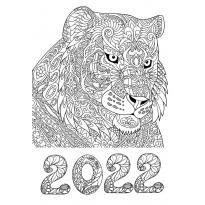 raskraska-tiger-2022-16