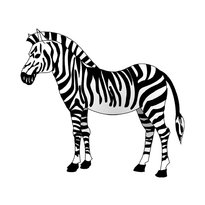 raskraska-zebra-5