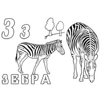 Раскраска зебра raskraska-zebra-6