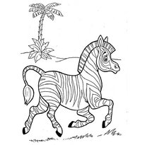 raskraska-zebra-7
