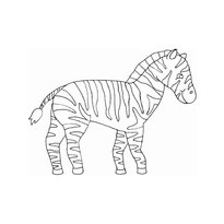 raskraska-zebra-9