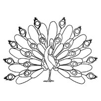 Раскраски птицы raskraski-ptitsi1