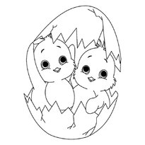 Раскраски птицы raskraski-ptitsi5