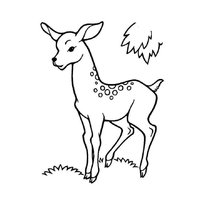 Олень раскраска raskraska-olen5