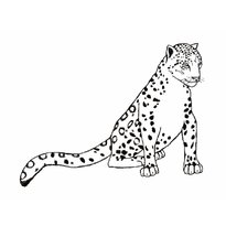 raskraska-leopard-19