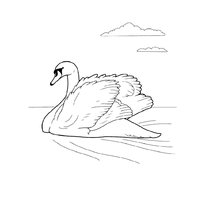 Раскраска лебедь raskraska-lebed-2