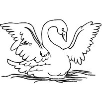 Раскраска лебедь raskraska-lebed-28