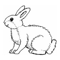 Раскраска кролик raskraska-krolik-5