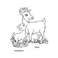raskraska-koza-13