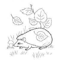 Раскраска Ежик raskraska-egik5